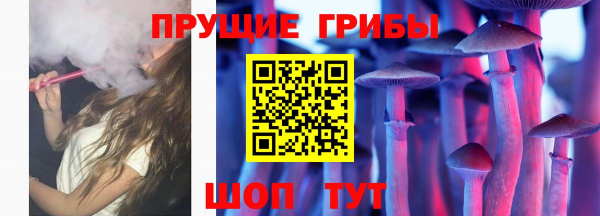 Псилоцибиновые грибы мухоморы Узловая
